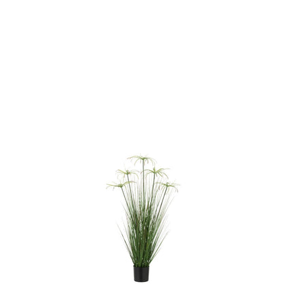 J-Line Cyperus Alternifolius 5 Koppen In Pot Pvc Groen Klein